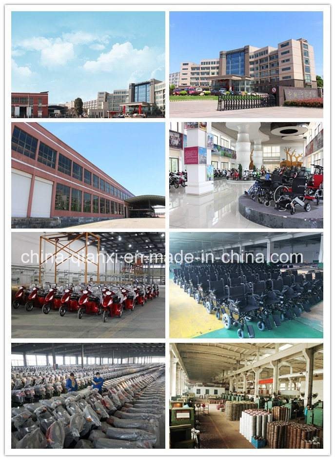 Electric Wheelchairs for Disable People/Standing Electric Wheel Chair/Disabled Electric Wheelchair Motor
