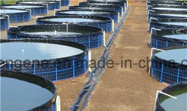 HDPE/LDPE Geomembrane 1.5mm for Pond/Pool Liner / Landfill Cover