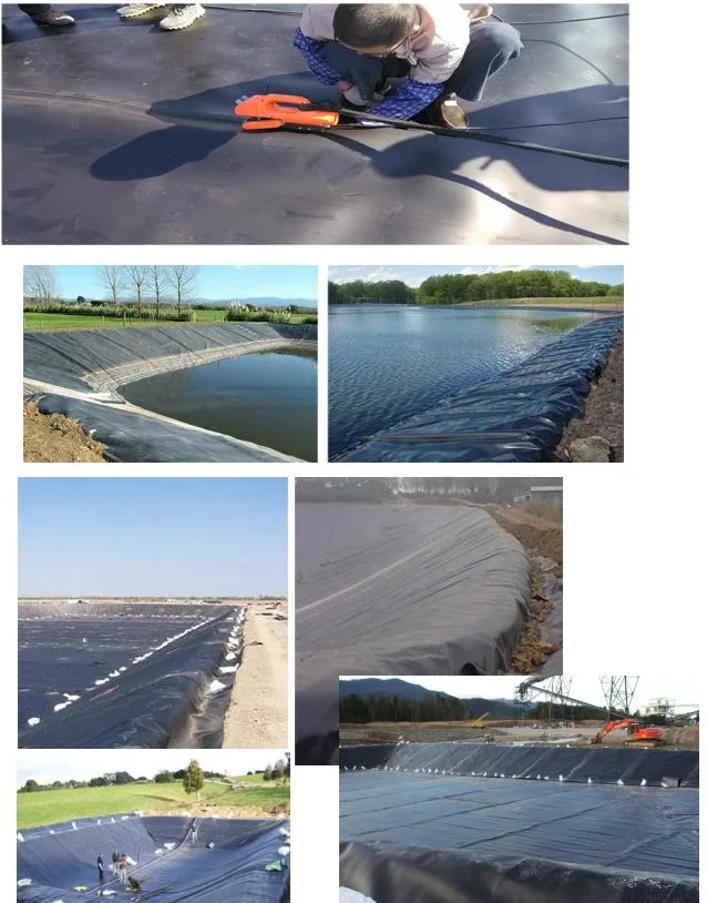 HDPE Liner Pond Liner HDPE Geomembrane Geo Materials Tank Liner Waterproofing Membrane