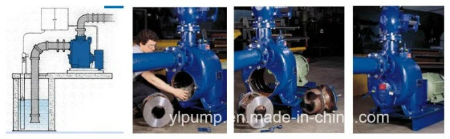 High Pressure Pump/Sewage Pump/Diesel Water Pump