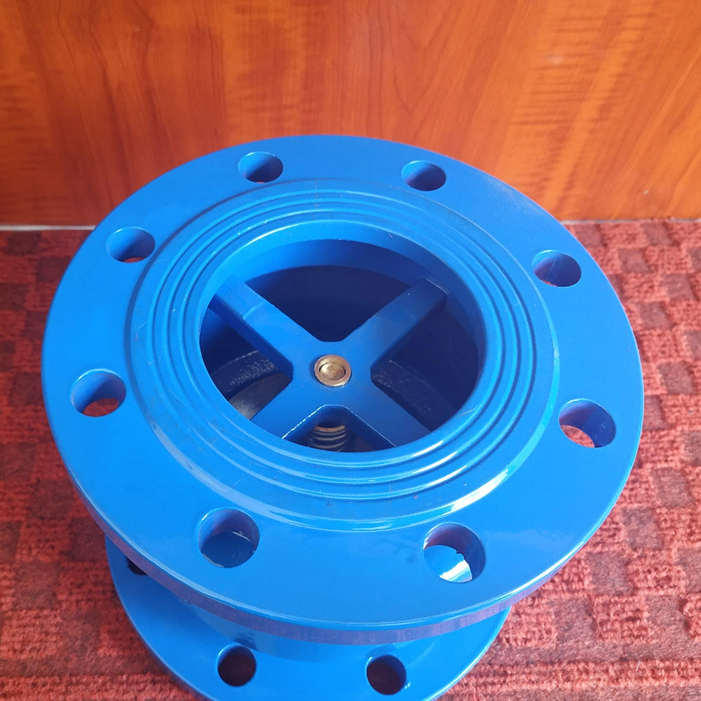 Ci or Di Metal Seat DIN Flanged Ends Swing Check Valve for Water with Pn16