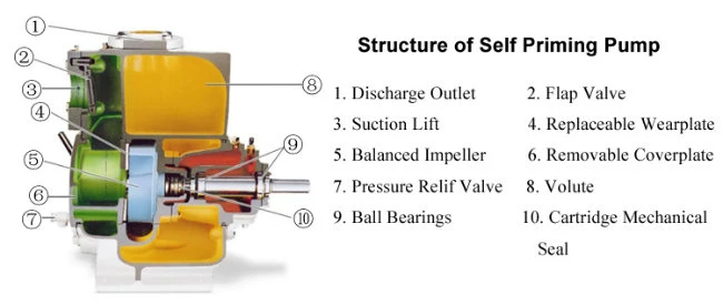 High Pressure Pump/Sewage Pump/Diesel Water Pump