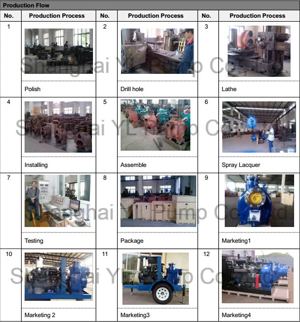 High Pressure Pump/Sewage Pump/Diesel Water Pump