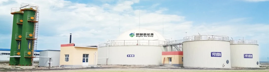 Portable Biogas Purify System, Desulfurization Tank