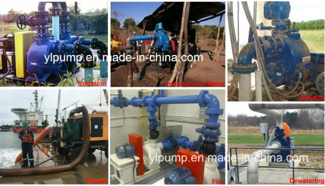 High Pressure Pump/Sewage Pump/Diesel Water Pump