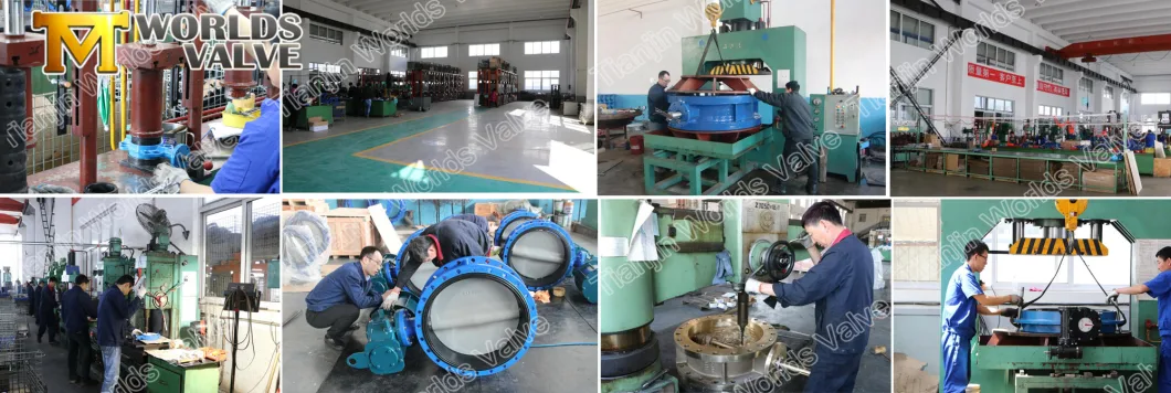 SUS Body and Disc Wafer Type Butterfly Valve with Rubber Liner
