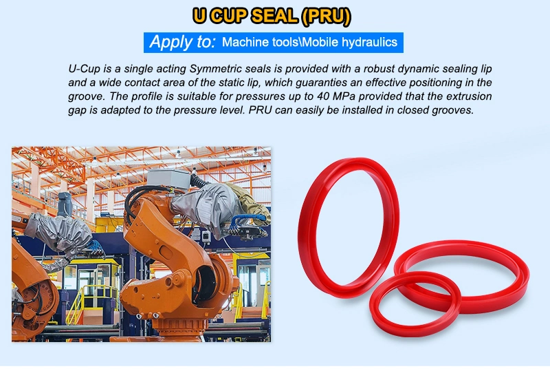 High Quality Hydraulic Seal Yxd Oil Seal