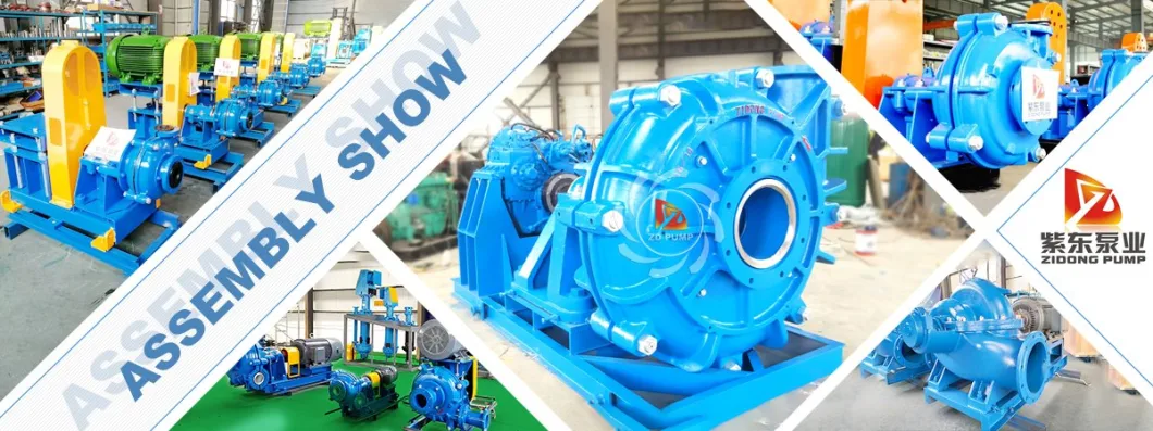 Mineral Processing Mine Tailing Coarse Particle Fine Sand Slurry Pump