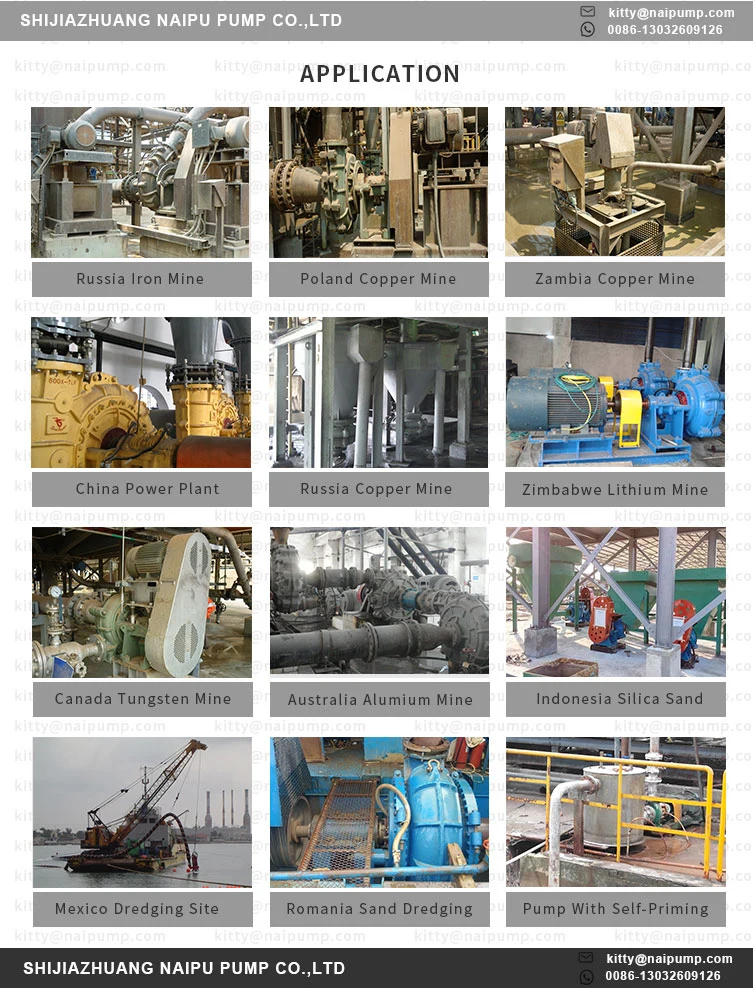 Heavy Duty Mineral Processign Heavy Duty Mining Slurry Pump 8/6f