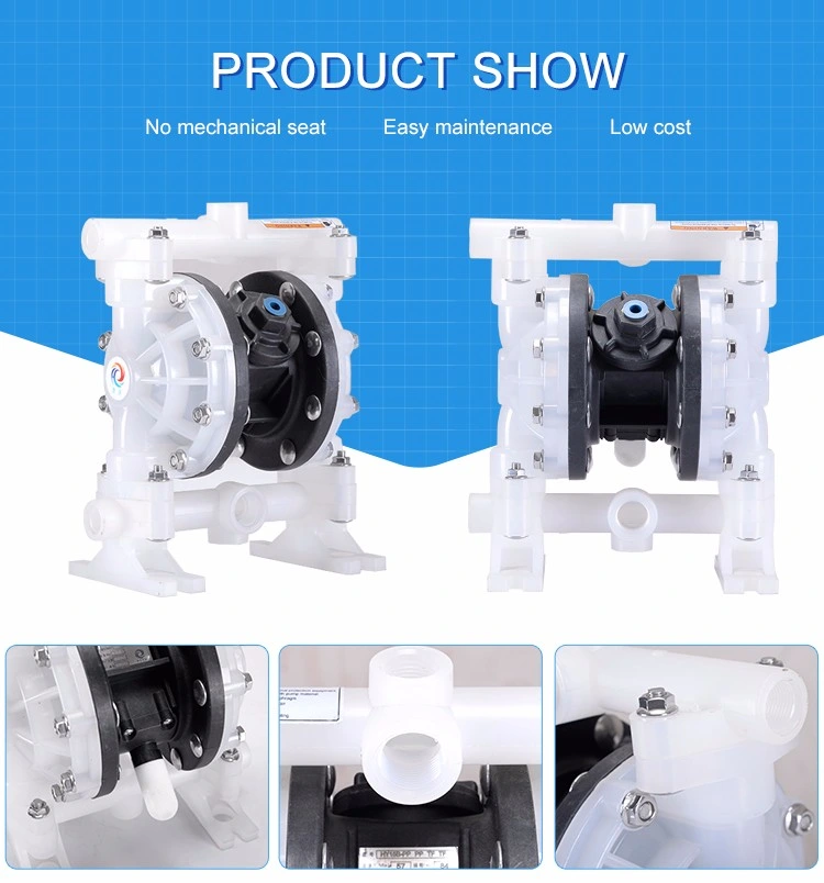 Wilden Portable Plastic Best Pneumatic Diaphragm Pump for Chemical Industry Water Pump