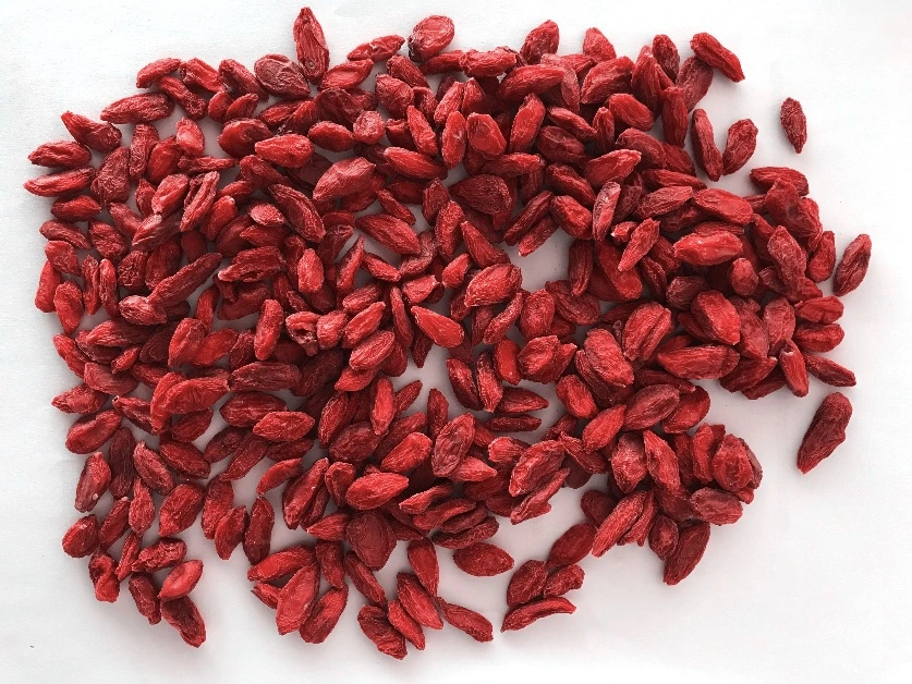 Chinese Ningxia Goji Berries Is The Best Tonic
