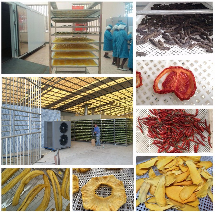Energy Saving 75% Dried Fruit Processing Machine/ Grape Drying Oven