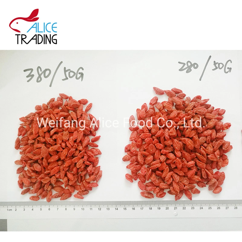 China Fruit Product Dried Goji Berry Manufacturer Dehydrated Goji Berries