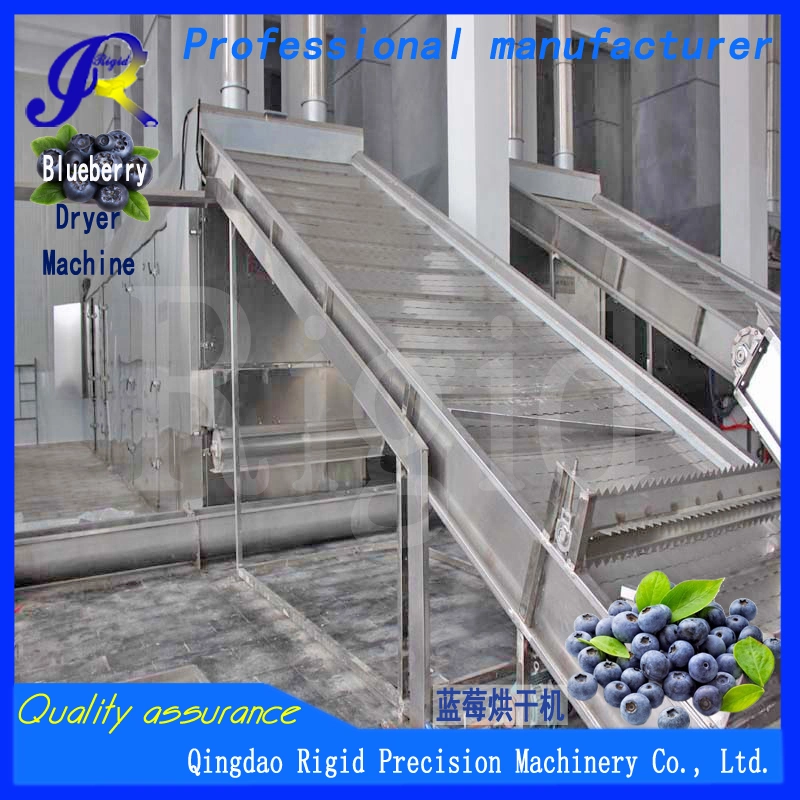 Hot Air Circulatory Dryer Machine for Blueberries and Cranberries