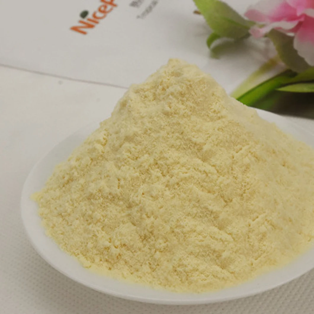 Spray Dried Pure Organic Mango Powder