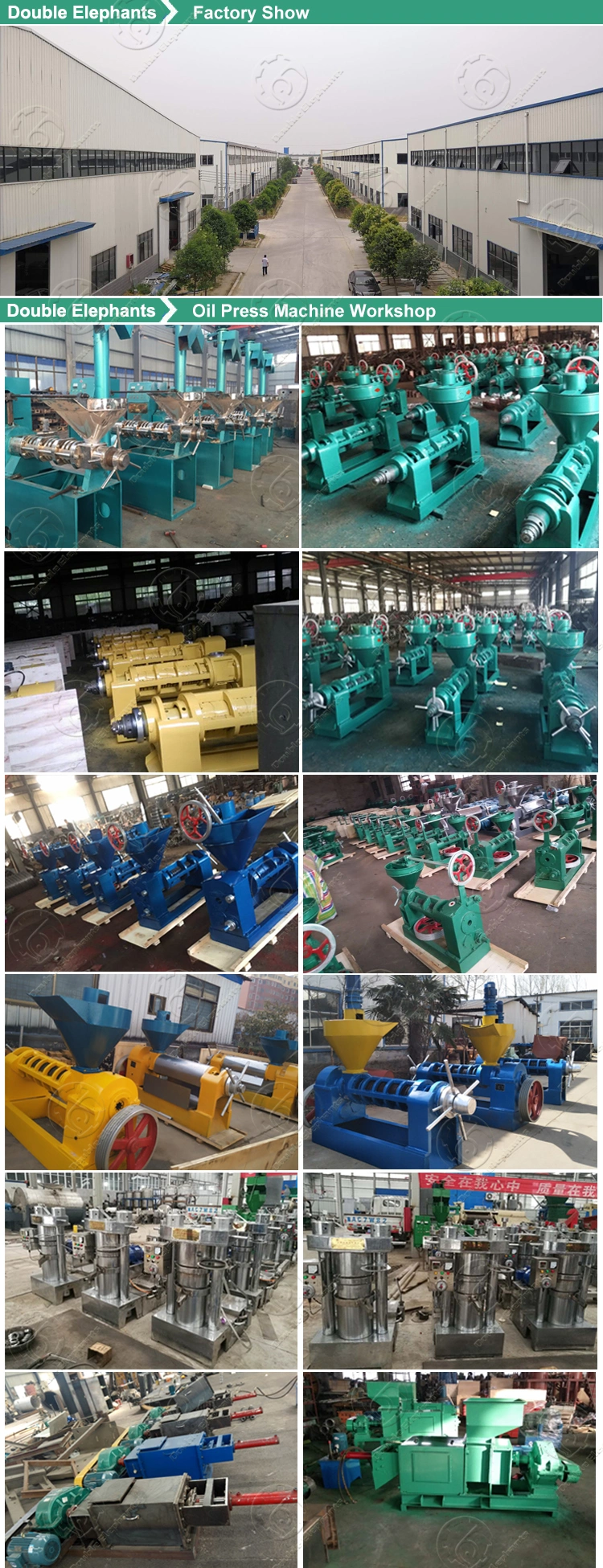 Factory Price High Quality Oil Mill (60-1000kg/h)