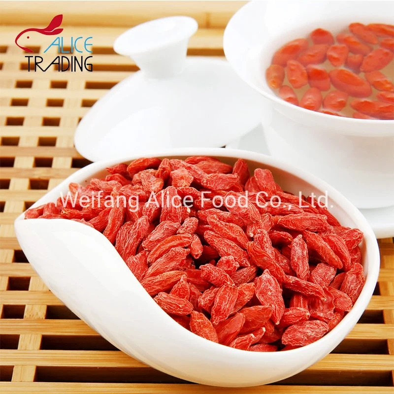 China Fruit Product Dried Goji Berry Manufacturer Dehydrated Goji Berries