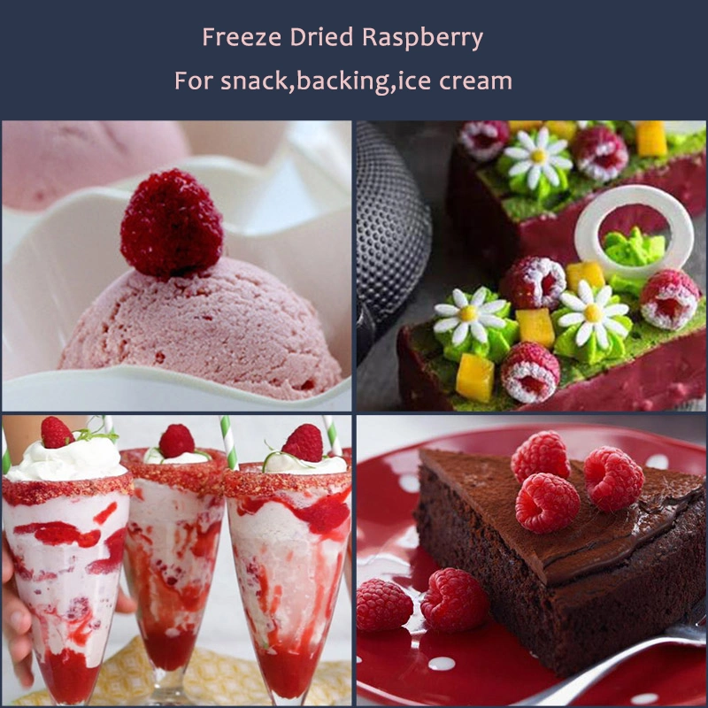 Healthy Food Freeze Dried Fruit Fd Raspberry