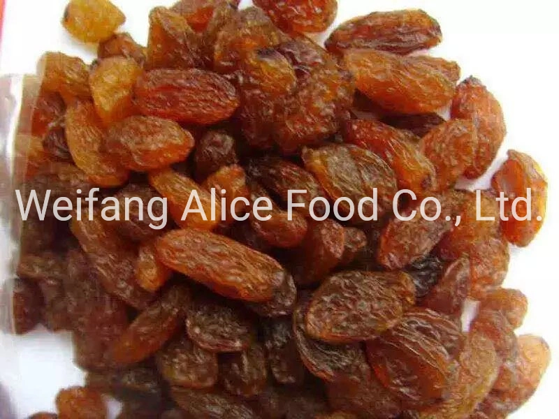 Hot Selling Dried Grape Sultana Raisins Red Raisins