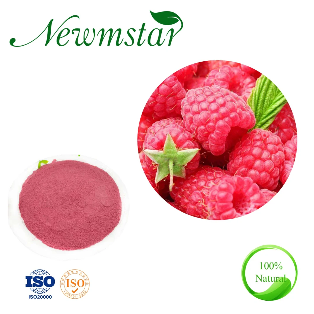 Food Flavoring Raspberry Extract Powder/Raspberry Fruit Powder, Raspberry Freeze Powder