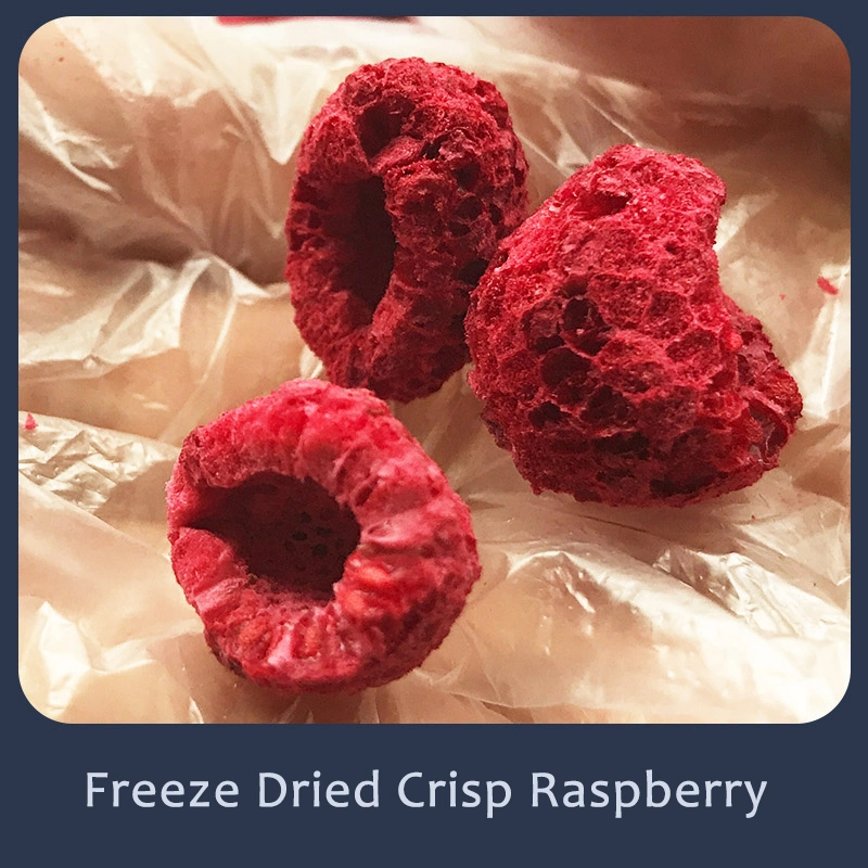 Healthy Food Freeze Dried Fruit Fd Raspberry
