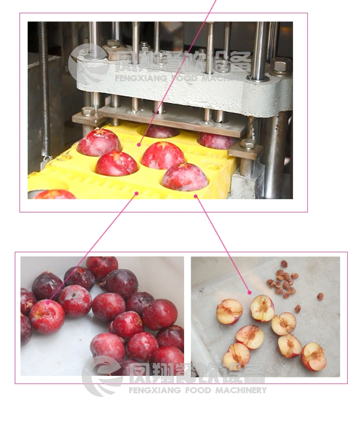 Automatic Prunes Stoner Plum Apricot Seeds Pitting Machine