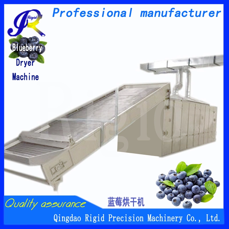 Hot Air Circulatory Dryer Machine for Blueberries and Cranberries