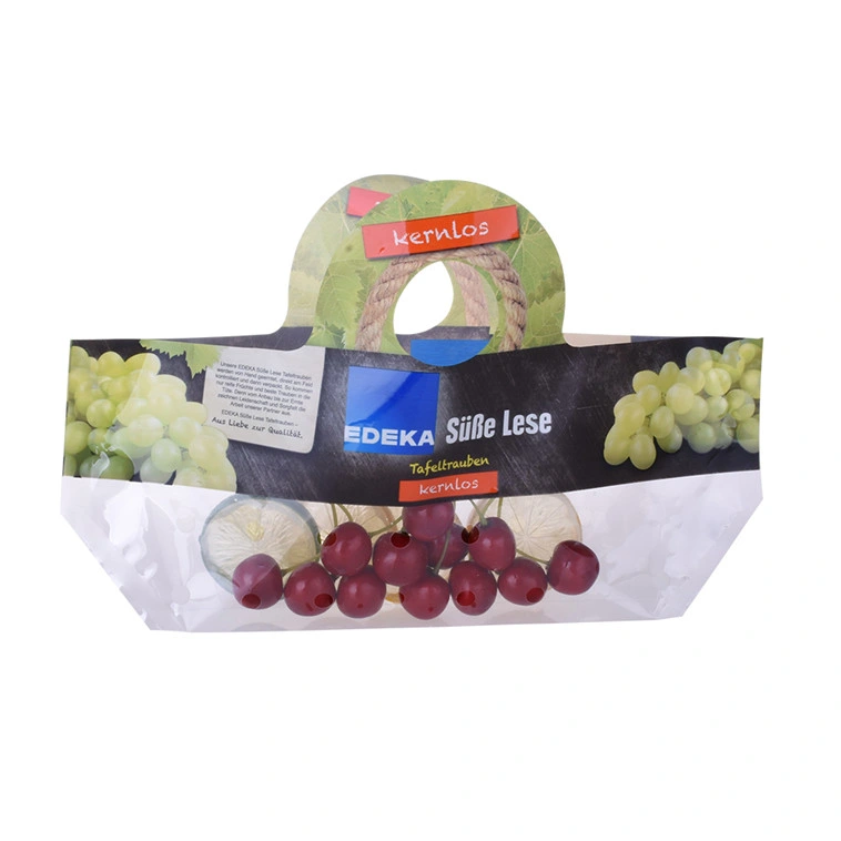 Recyclable Bag Transparent Plastic Fruit Packaging Zip Lock Bag with Hang Hole