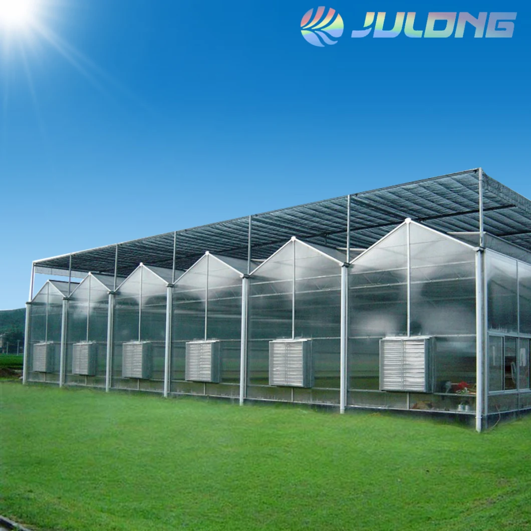 PC Sheet Greenhouse Used of Hydroponic System for Strawberry Blueberries