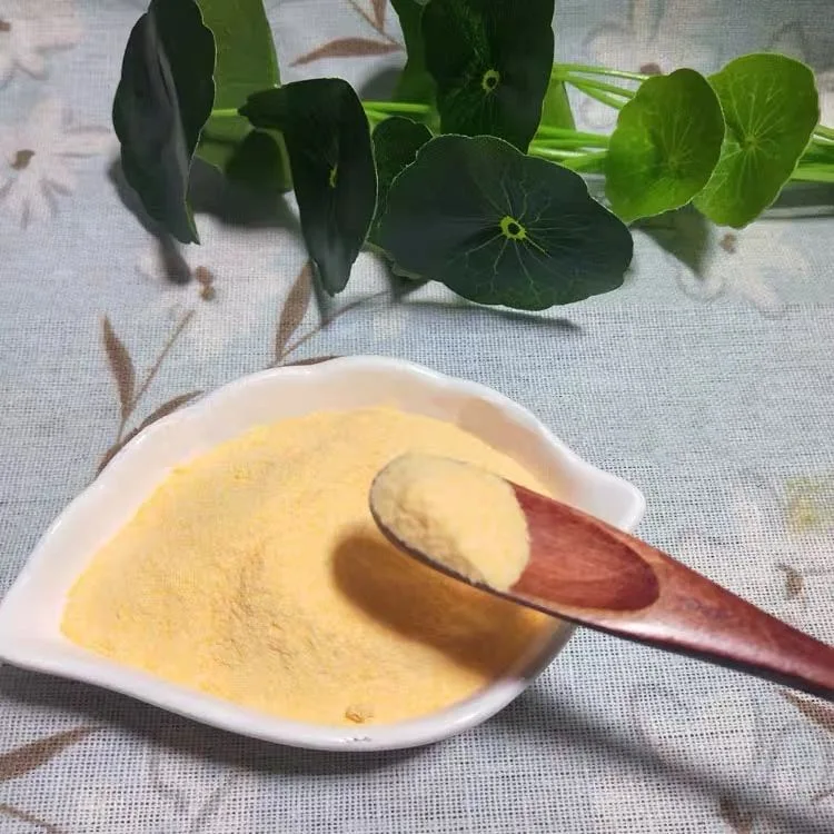 100% Natural Organic Freeze Dried Mango Extract Powder