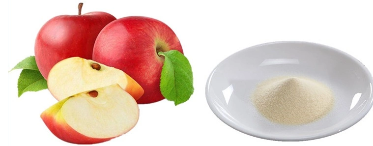 Factory Supply High Quality Good Taste Pure Apple Juice Powder, Dried Apple Powder