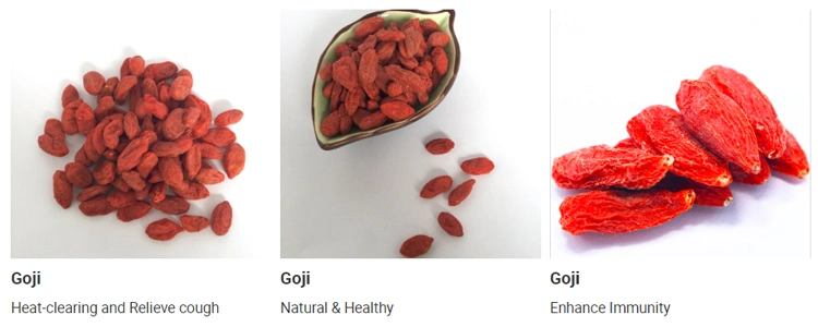 Popular Sell Chinese Nighxia Goji Berry Sun Dried Goji Berries