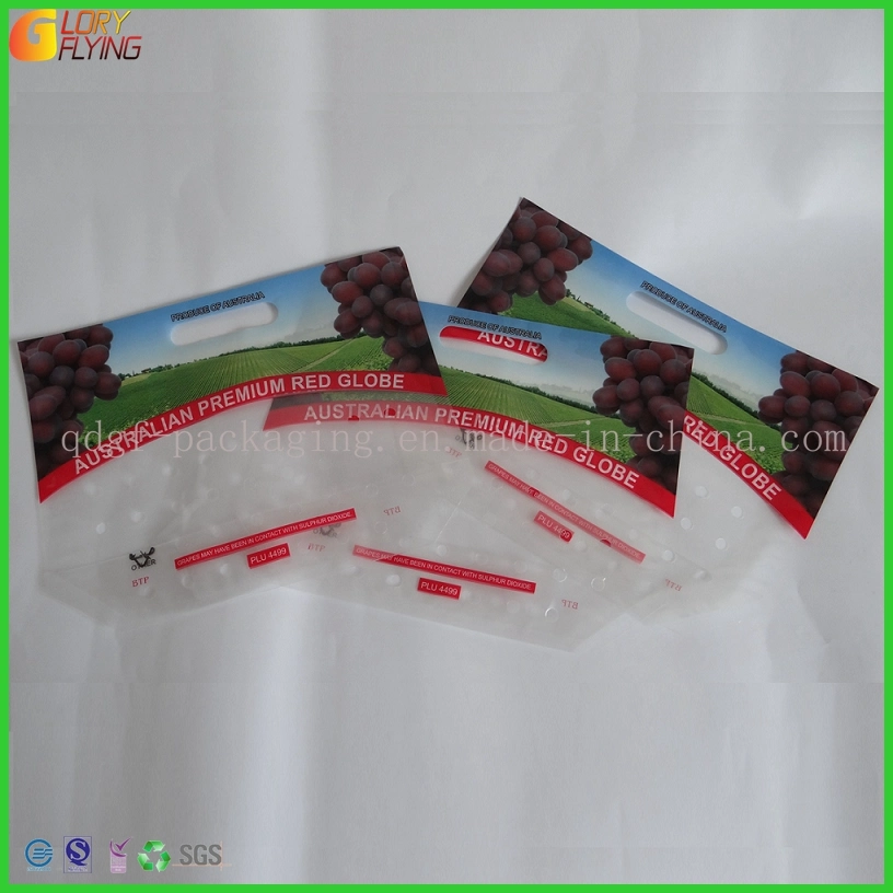 Grape Zipper Food Bag Fruit Packaging with Perforation/Plastic Bag