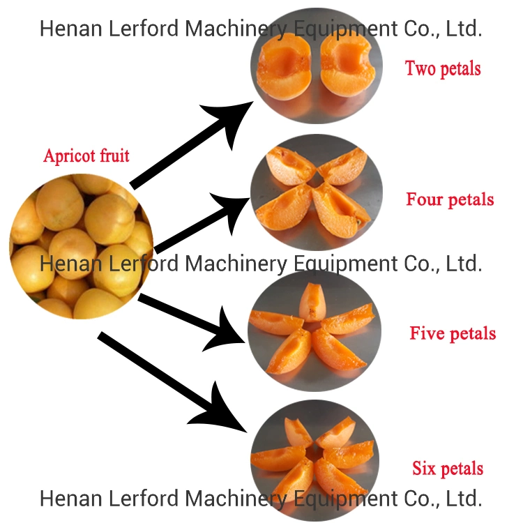 Apricot Processing Line Apricot Pitting Machine Apricot Pitter Machine