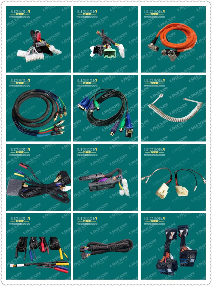 Tail Door Wiring Harness for Car