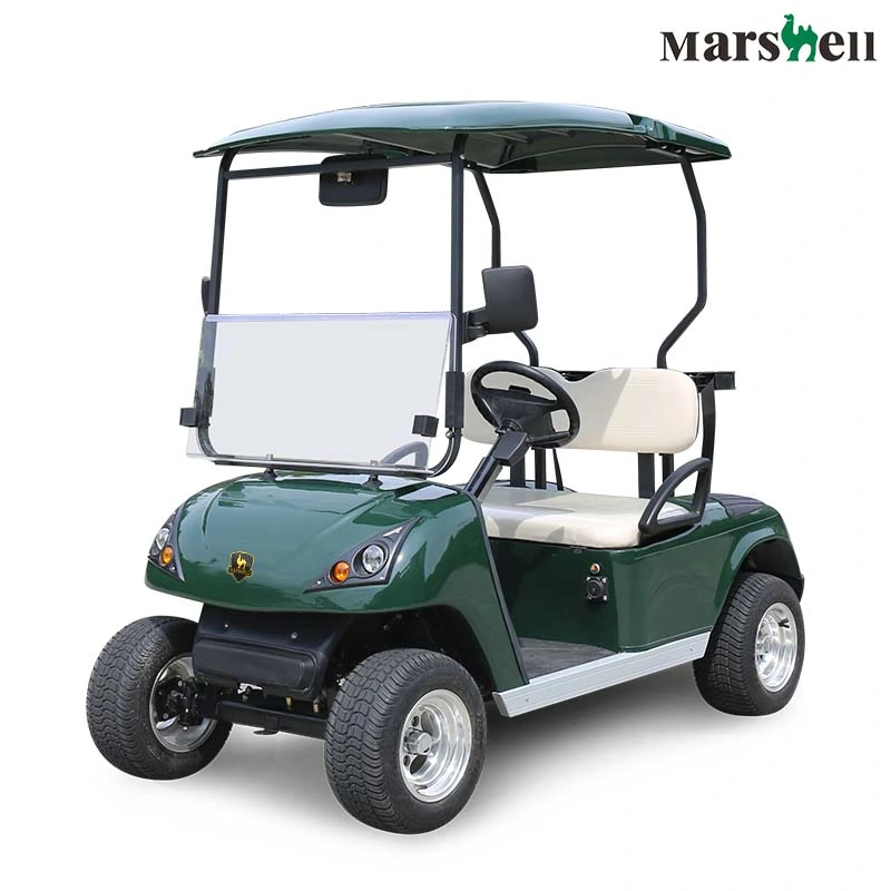 Marshell Golf Cart Electric Mini Buggy Cart for Golf Course (DG-C2-5)