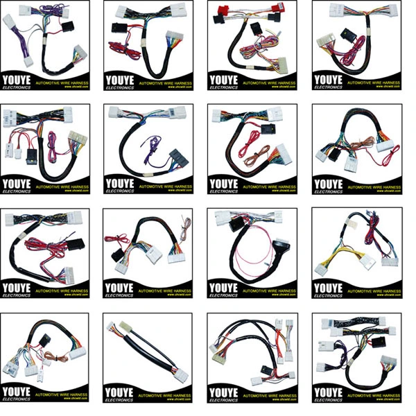 Auto Cable Assembly Wire Harness Wiring Assembly Wiring Looms
