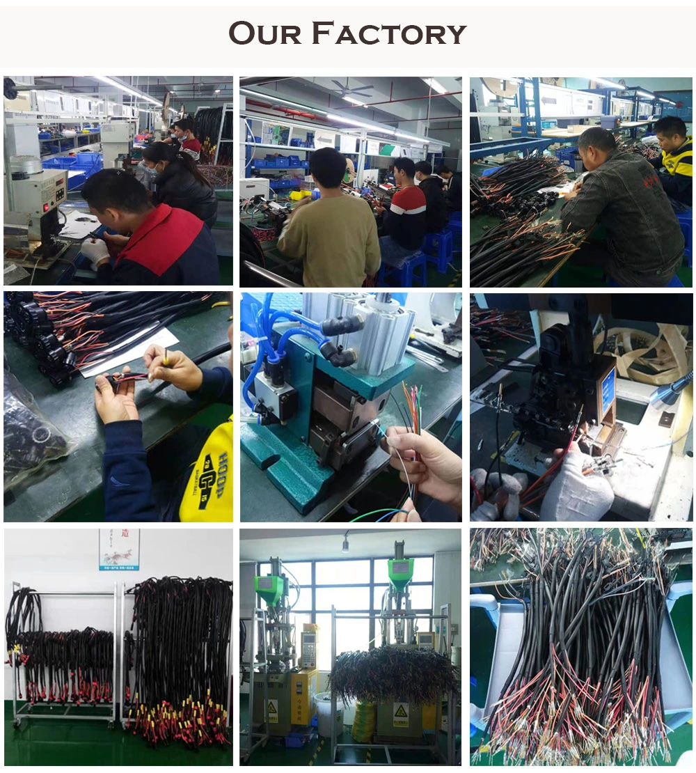 Customized Electronic Wire Assembly Molex Pitch Connector Te/Jst/AMP/Jae/Hrs Connector Electrical Wire Harness