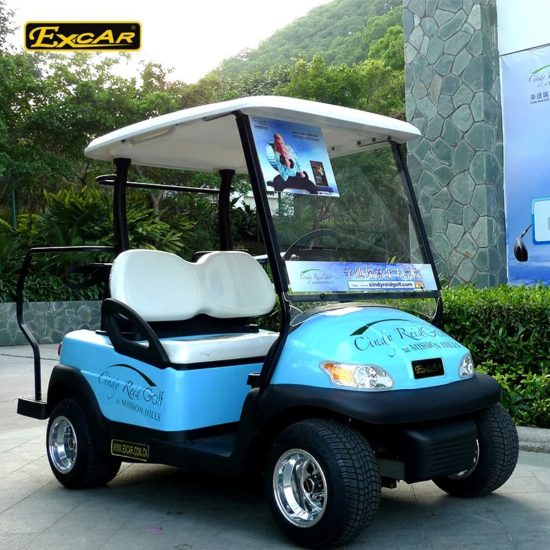 2 Seater Electric Golf Cart Solar Golf Buggy Cart Electric Vehicle