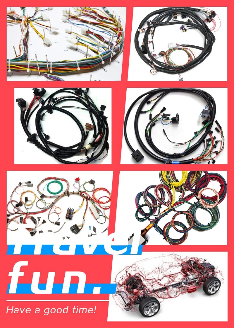 Made in China Automotive Engine Wiring Harness Car Cable Assembly