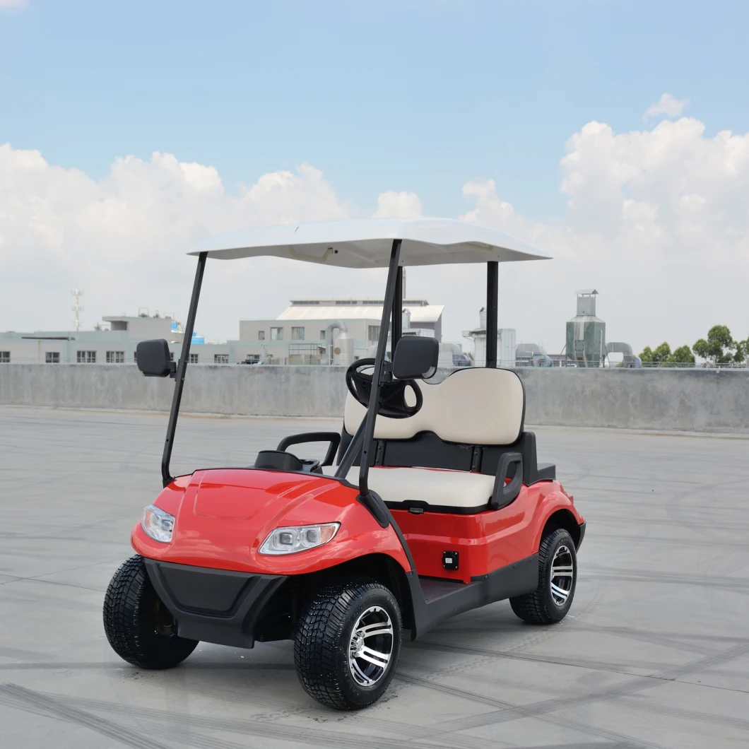 Ce Certification 2 Seater Electric Golf Cart Mini Club Car Golf Cart Electric Golf Buggy Car