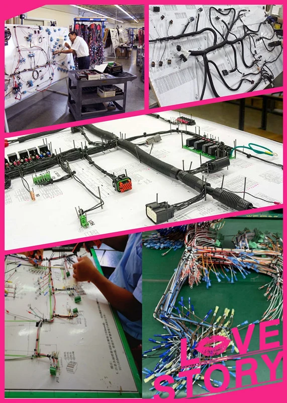 OEM ODM Customize Auto Wire Harness Automotive Wiring Harness Assembly 1 Years Warranty Manufacturer