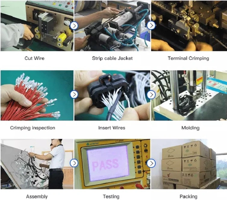 Automotive Wire Cable & Cable Assembly, Wire Harness Assembly Using Jst Molex Housing Contact