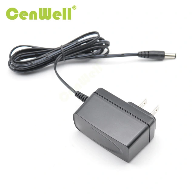 6W Us Plug Adapter with Micro Cable