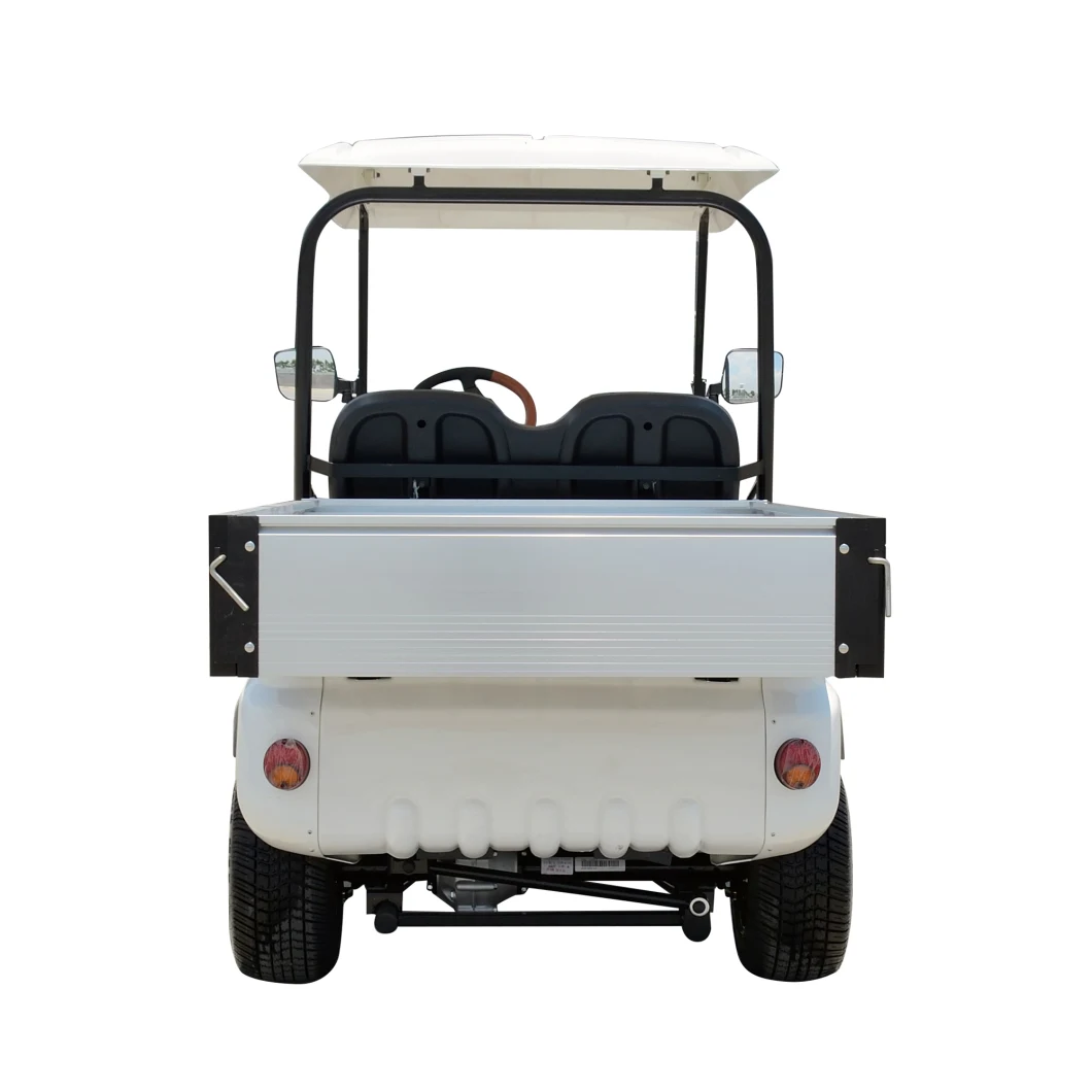 2 Seats Hot Sale Electric Golf Cart with Small Rear Box 2 Seaters Small Golf Cart