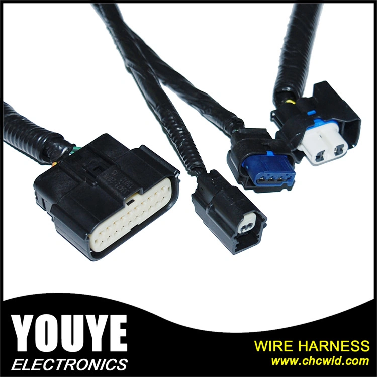 Auto Cable Assembly Wire Harness Wiring Assembly Wiring Looms
