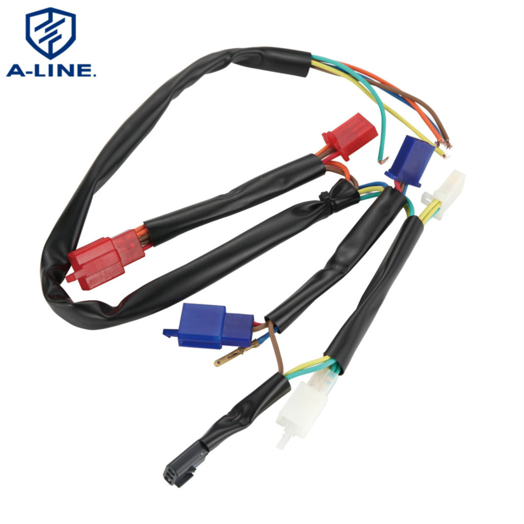 Motorcycle Assembly and Child Car Combination Wire Harness