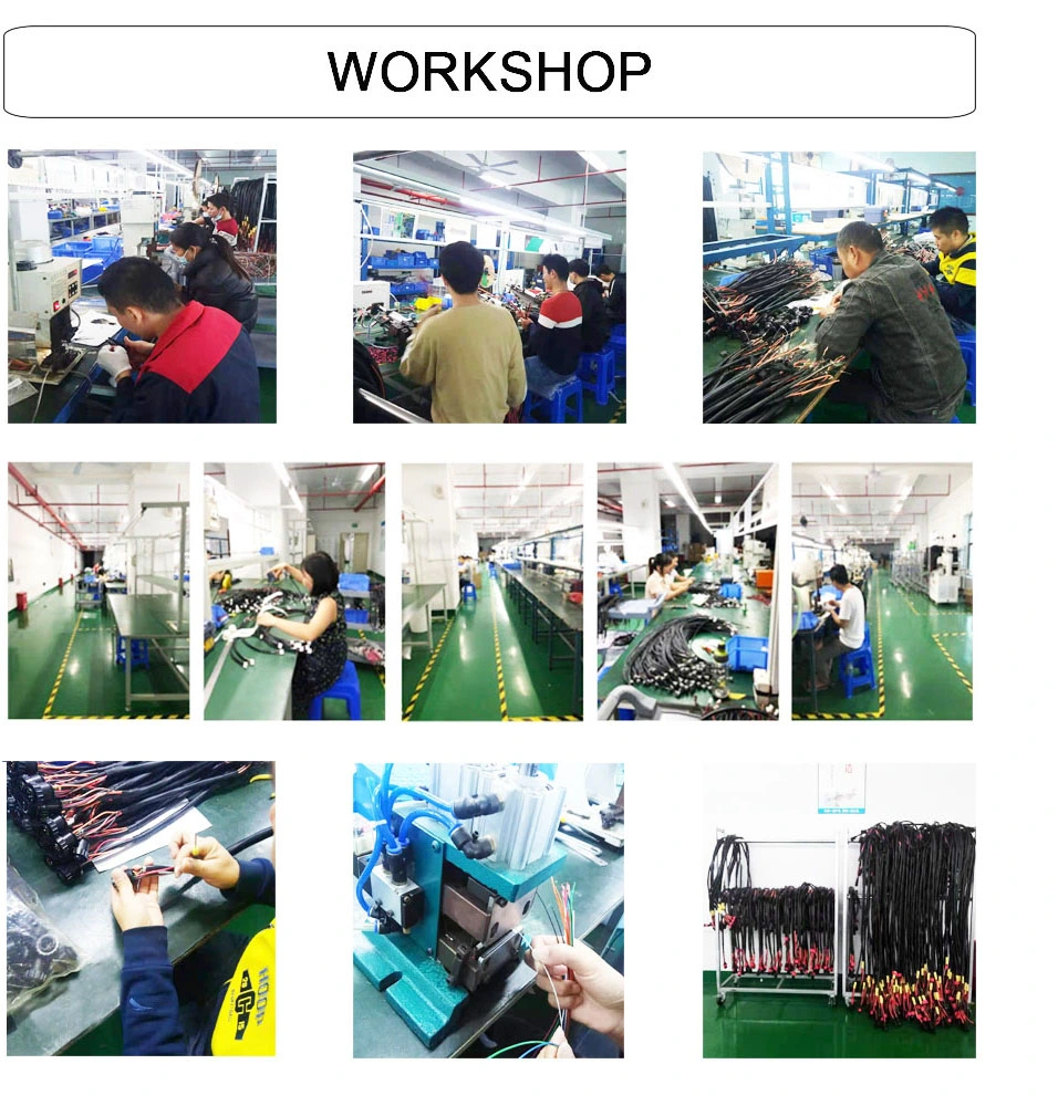 Chinese Factory Custom Electrical Industrial Medical Automotive Wire Harness Cable Assembly Wiring Harness