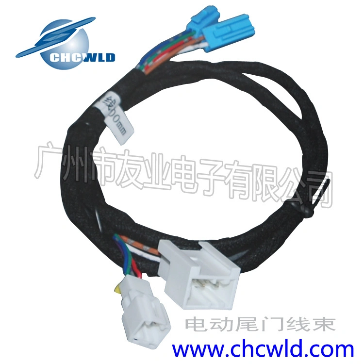 OEM Auto Wire Harness Cable Assembly for Audio System