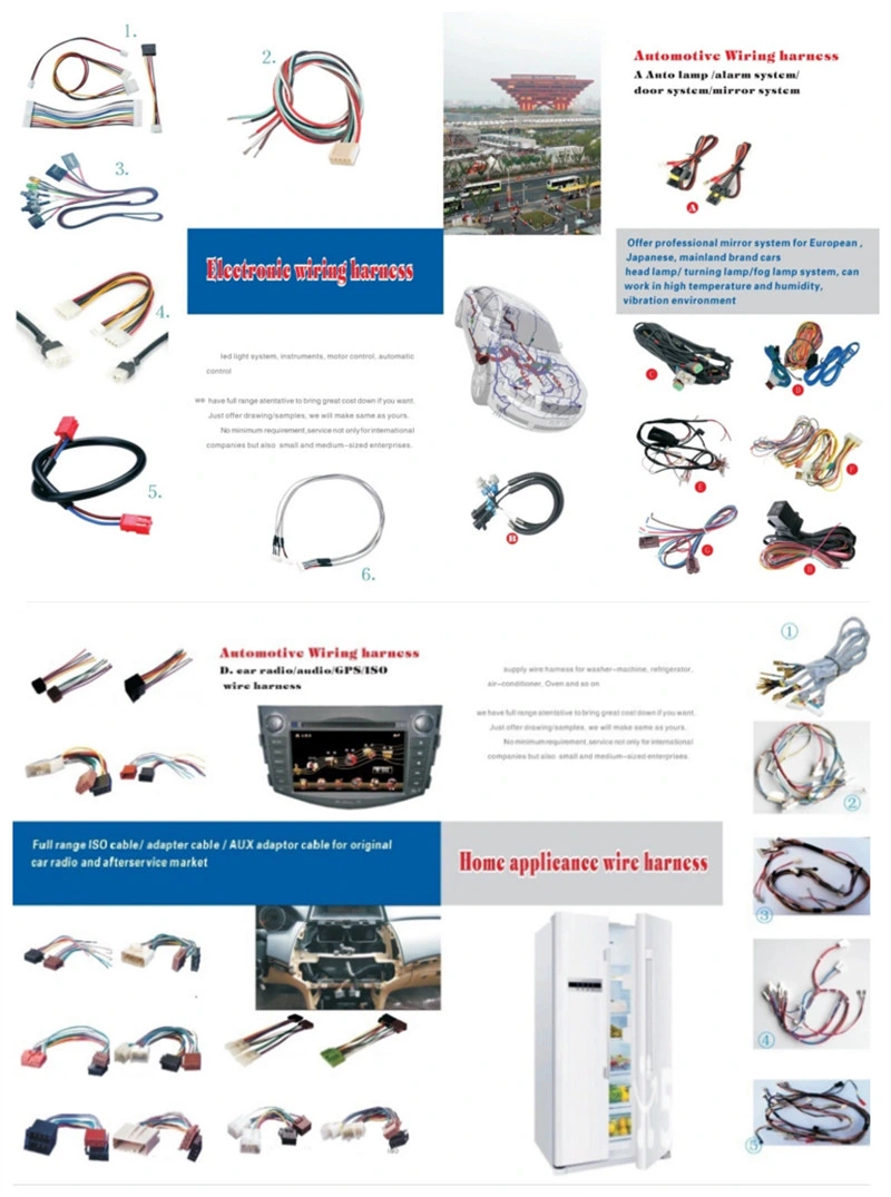 Custom Molding Cable Assemblies & Cable Assembly Wiring Harness